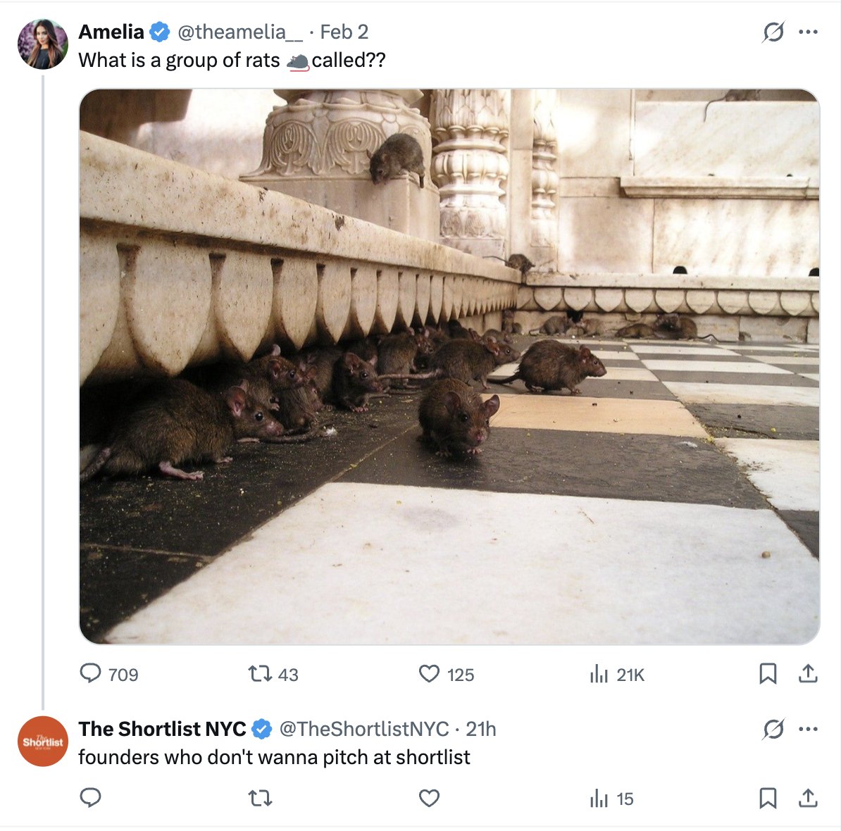 Andrew Yeung tweet media