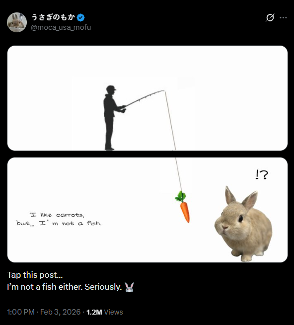 madeforcharts's tweet photo. This Japanese meme has recently gone viral on X with millions of views.

It's a rabbit named Moca in interactive and funny posts.

The creator also has many more of these.

5M views, a rabbit meme that is named, and 0 coins made??

THIS IS BY DEFINITION WHAT WE NEED FOR A COOK.

https://t.co/gFiQO3ZU7X