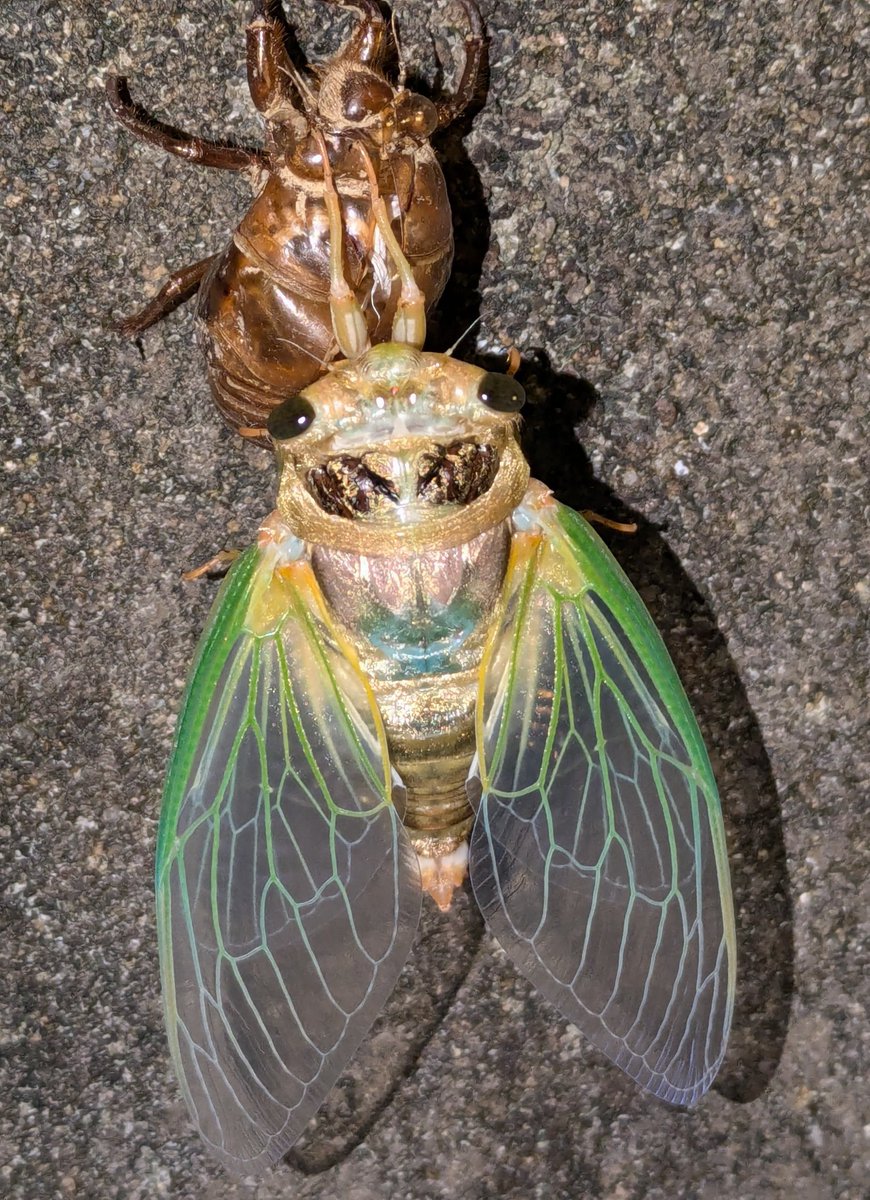 まさやん (@masayan59896607) / Posts / X