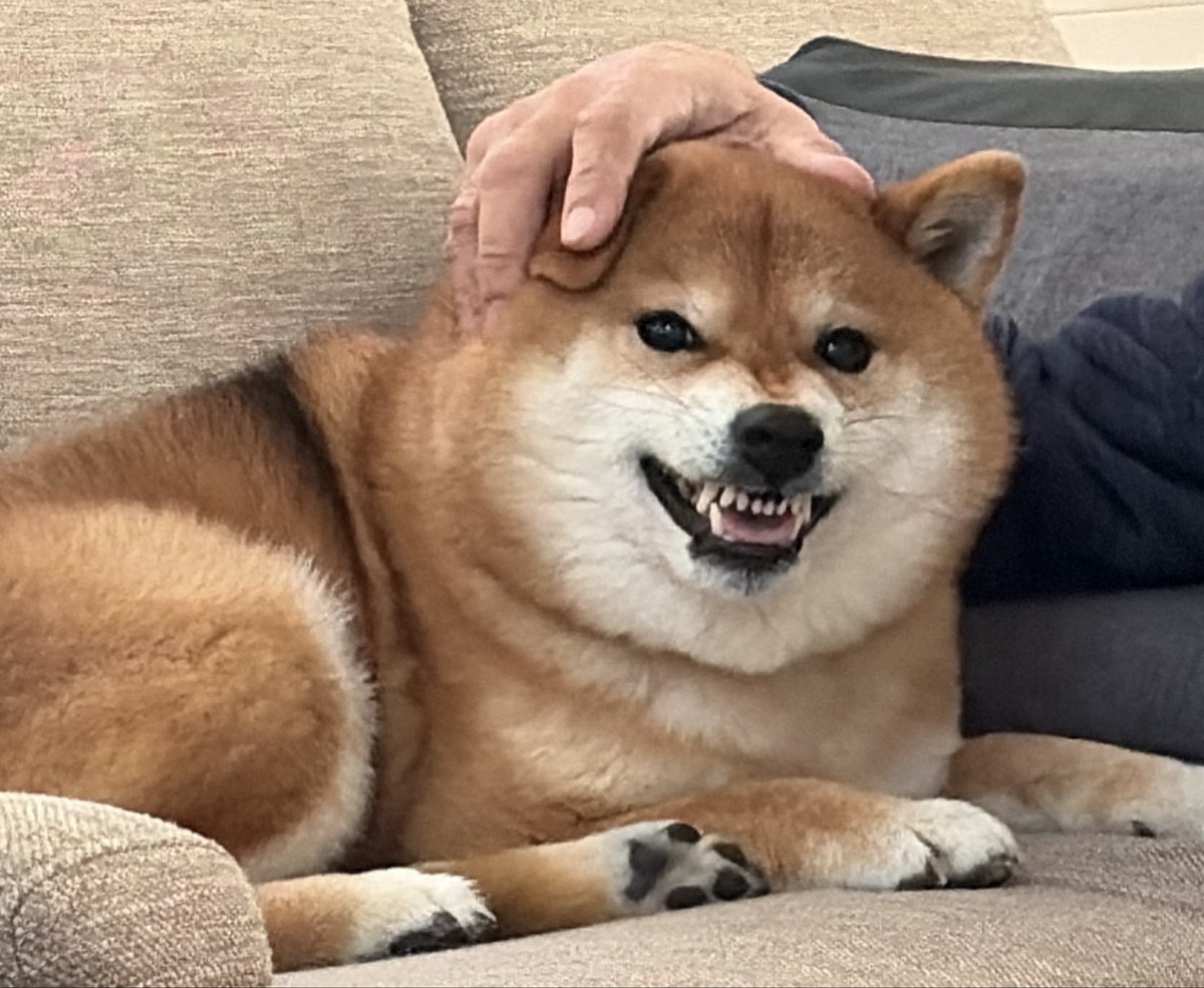 tora&senjiro (@etnOFyWNlBQUcx1) / Posts / X