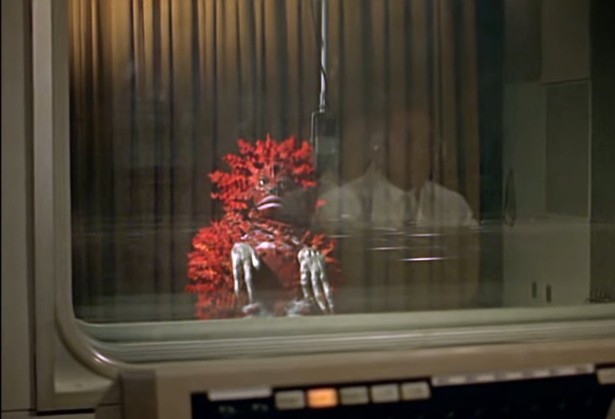 Pigmon of Ultraman appreciation post.