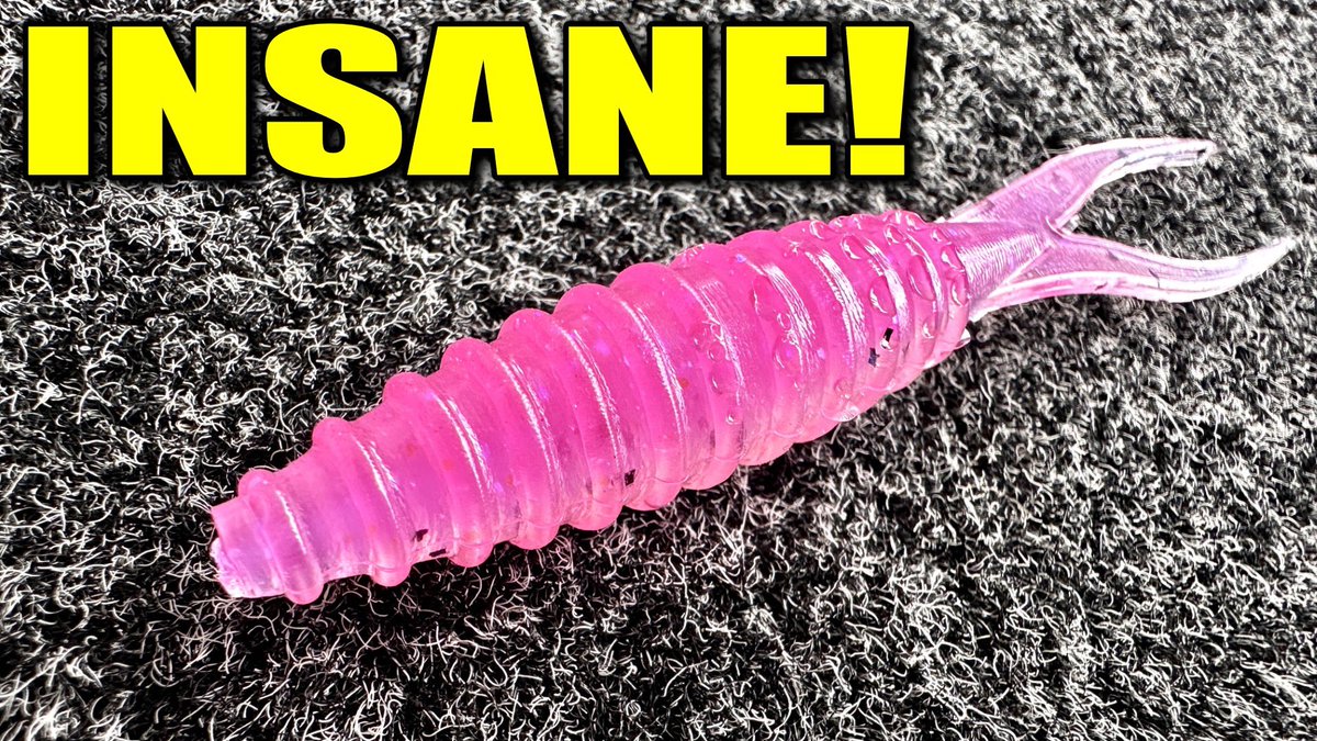 The NEW GEAR I found In Knoxville Is INSANE! 
bit.ly/4qeweGM

#fishing #newbaits #bassfishing #Gamechanger #bassgeek #knoxville #fishinggear #fishingtips