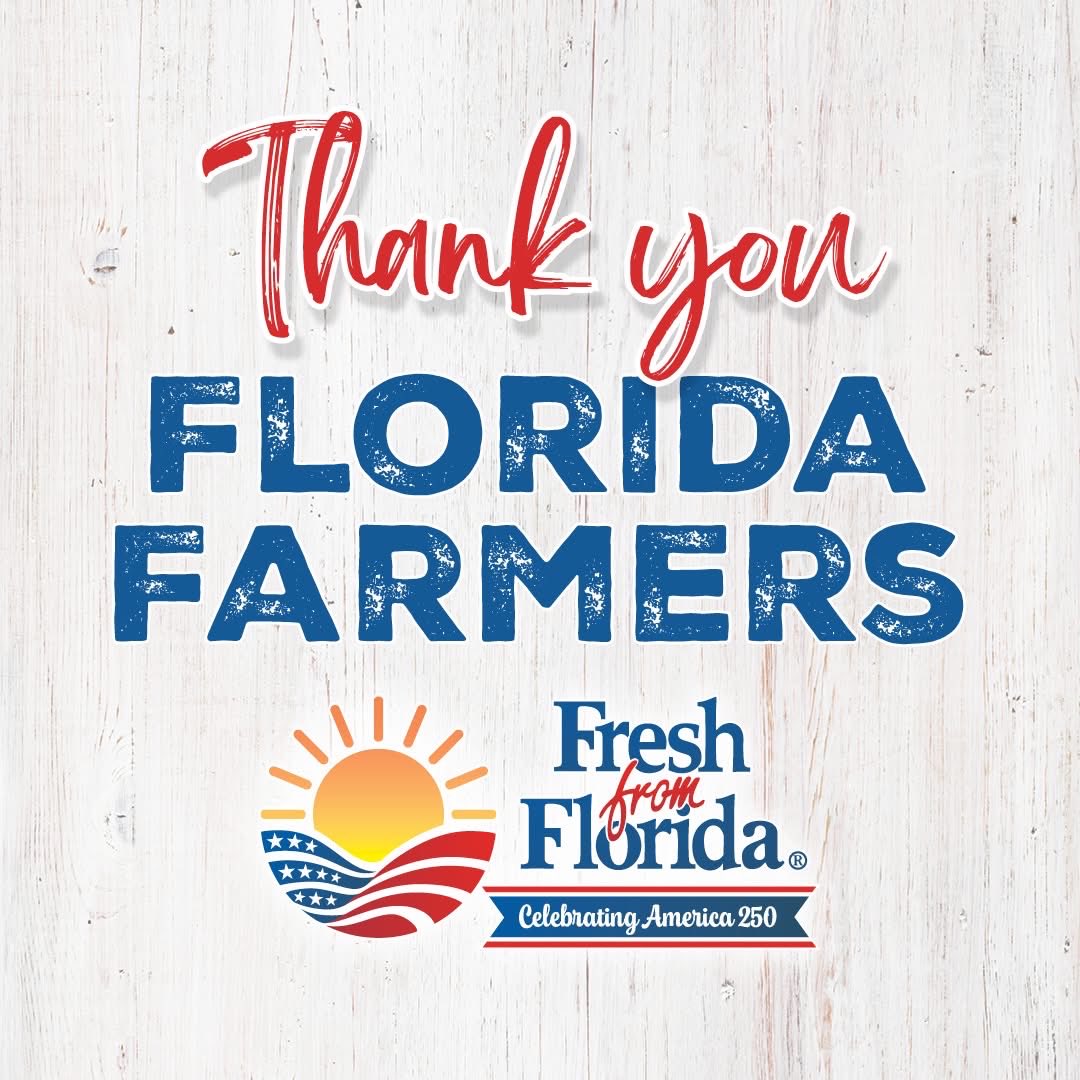 WiltonSimpson's tweet image. Thank you, Florida farmers, for your unwavering dedication and the extraordinary precautions you took to protect Florida’s fruit and vegetable crops during this recent and significant weather event. Your commitment to the land and to feeding our communities does not go unnoticed.…