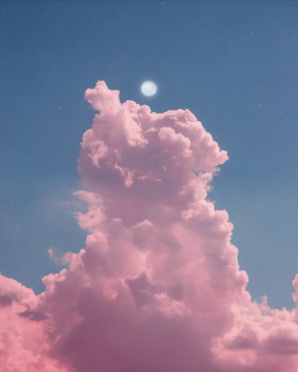 gardenofcolours's tweet image. 