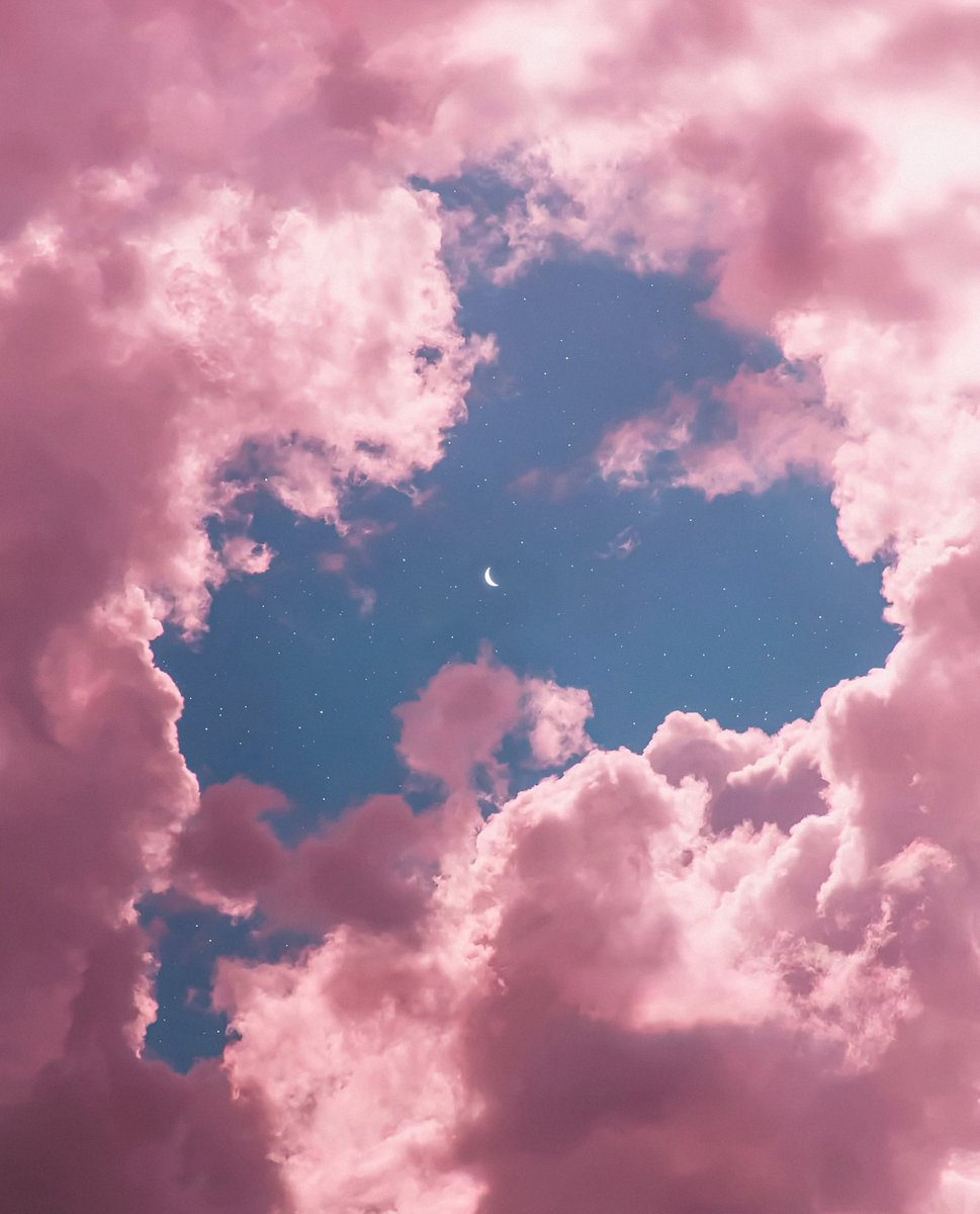 gardenofcolours's tweet image. 