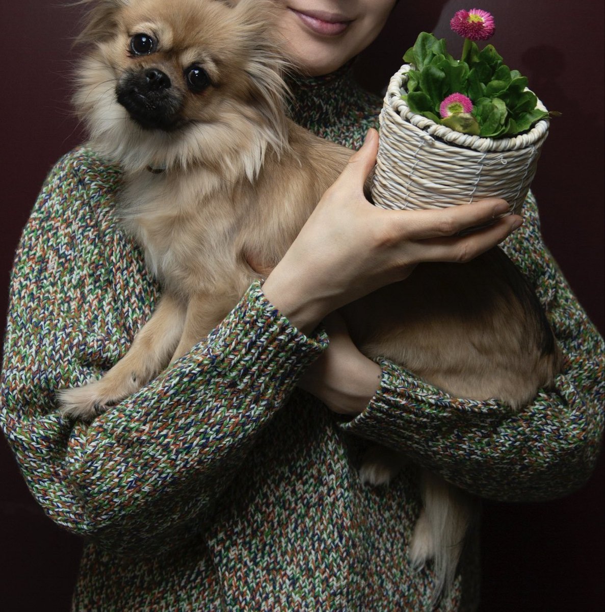 <a href="/takeshima_staff/">竹島宏 Hiroshi Takeshima【公式】</a> 生配信を２度も有り難うございました。律儀な宏さんに感謝します💐お疲れなのに、花便りを届けて下さり　またまた感謝です💐デージー🌸希望🌸デイジーちゃんも一緒のphotoを有難う💐立春ですね。希望に満ちた年です。絆で前進する素敵な年になります様に🙏感謝💐#竹島宏