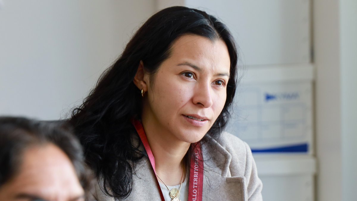 ONU-HABITAT México tweet media