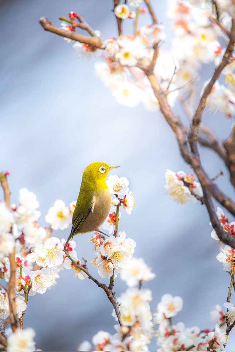 そらꕤ︎︎·͜· ︎︎📷好き𓂃𓂂𖡼.𖤣𖥧𓈒 (@fa0u24712) / Posts / X