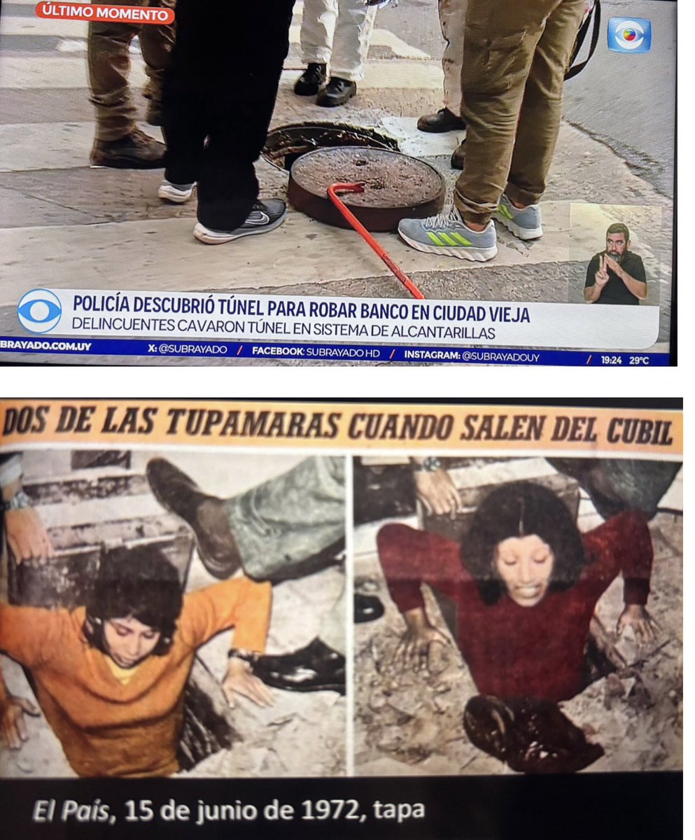 Daniela Bouret Vespa tweet media