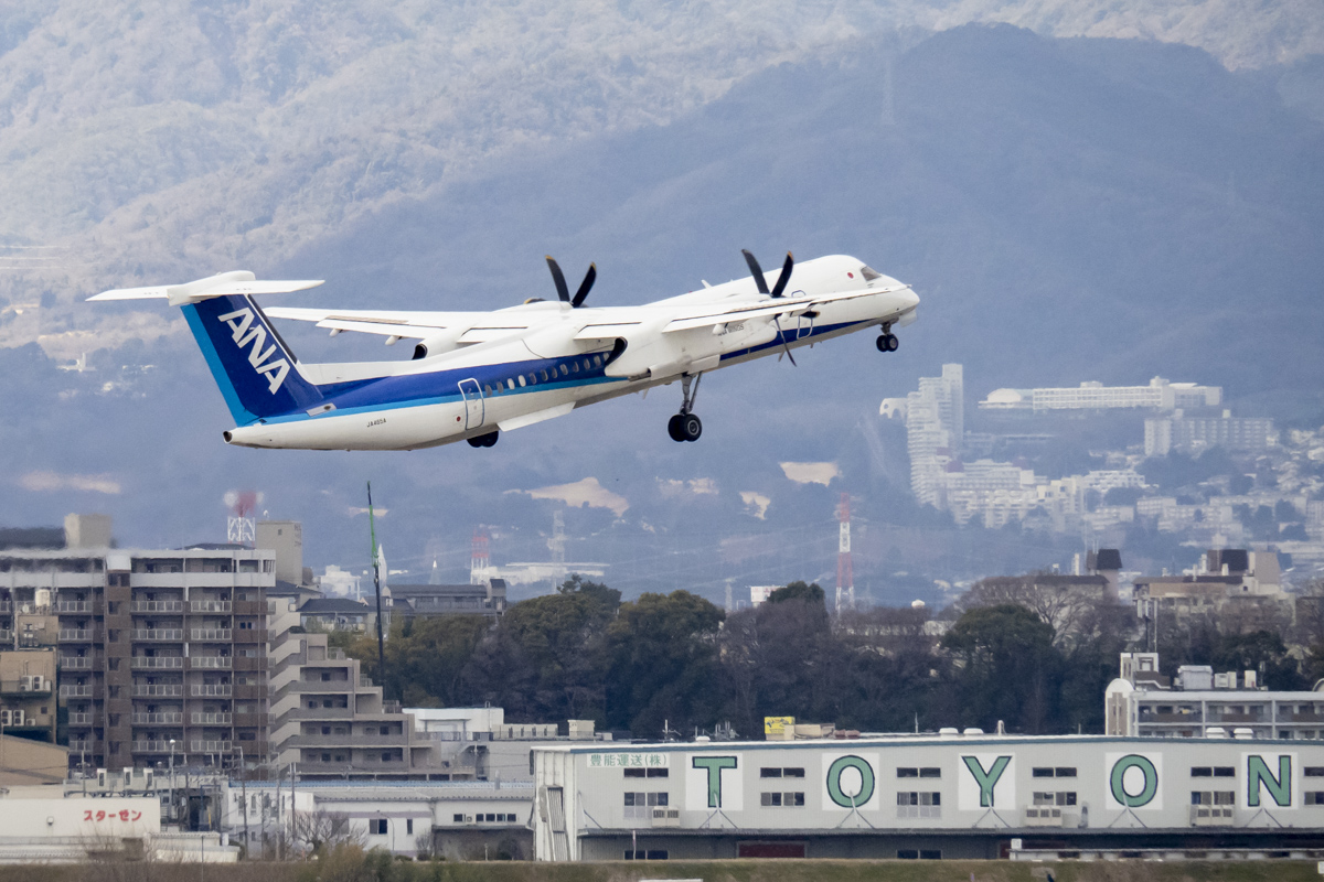 見た人は無言で去年の2月の写真を貼る