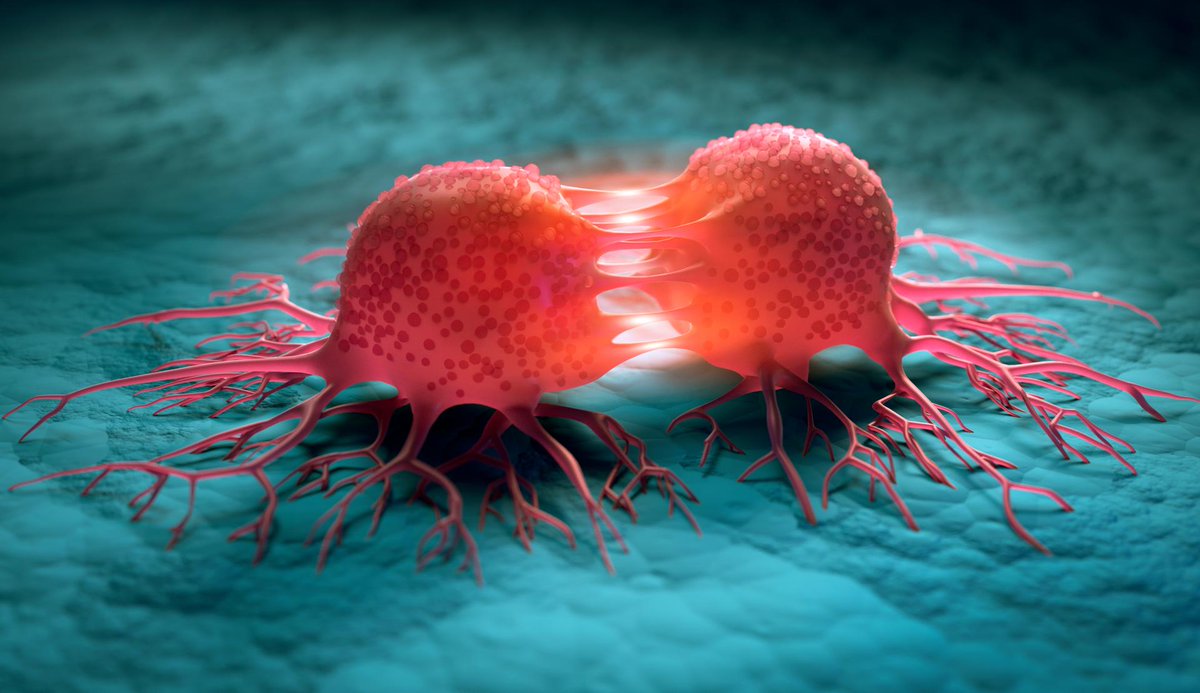 🌎🇫🇷🦠 Aujourd’hui, c’est la journée mondiale contre le cancer. On estime à 433 136 le nombre de nouveaux cas de cancer diagnostiqués, en 2023, rien qu’en France métropolitaine. Les cancers de la prostate et du sein sont les plus fréquents.