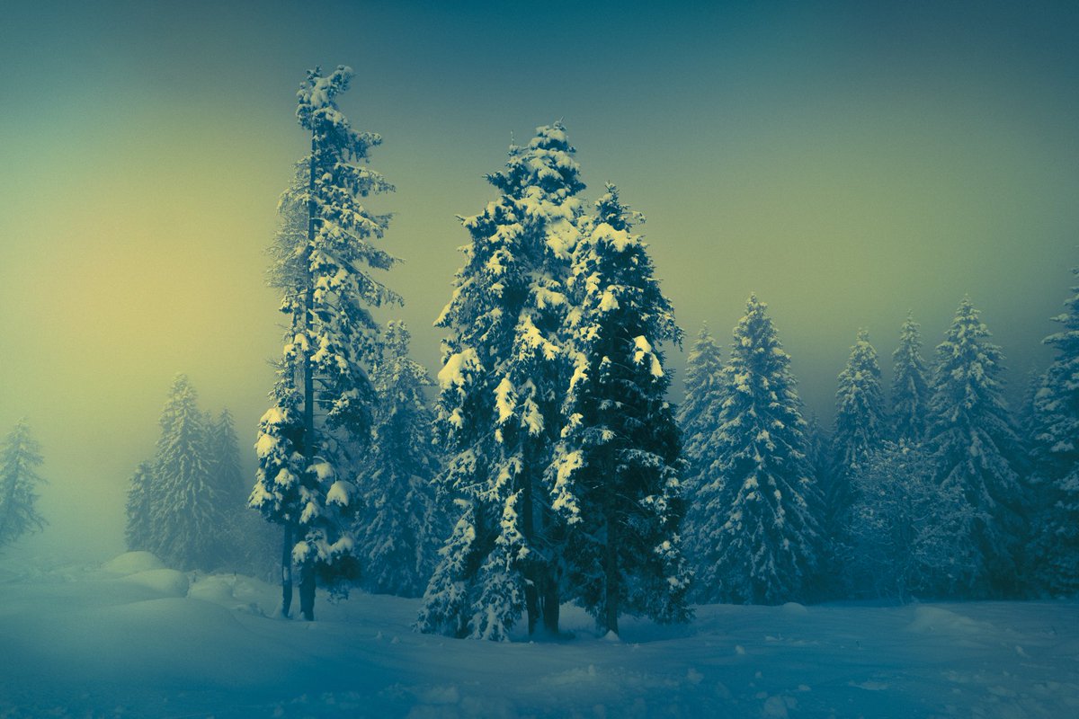 Samantha Cavet tweet media