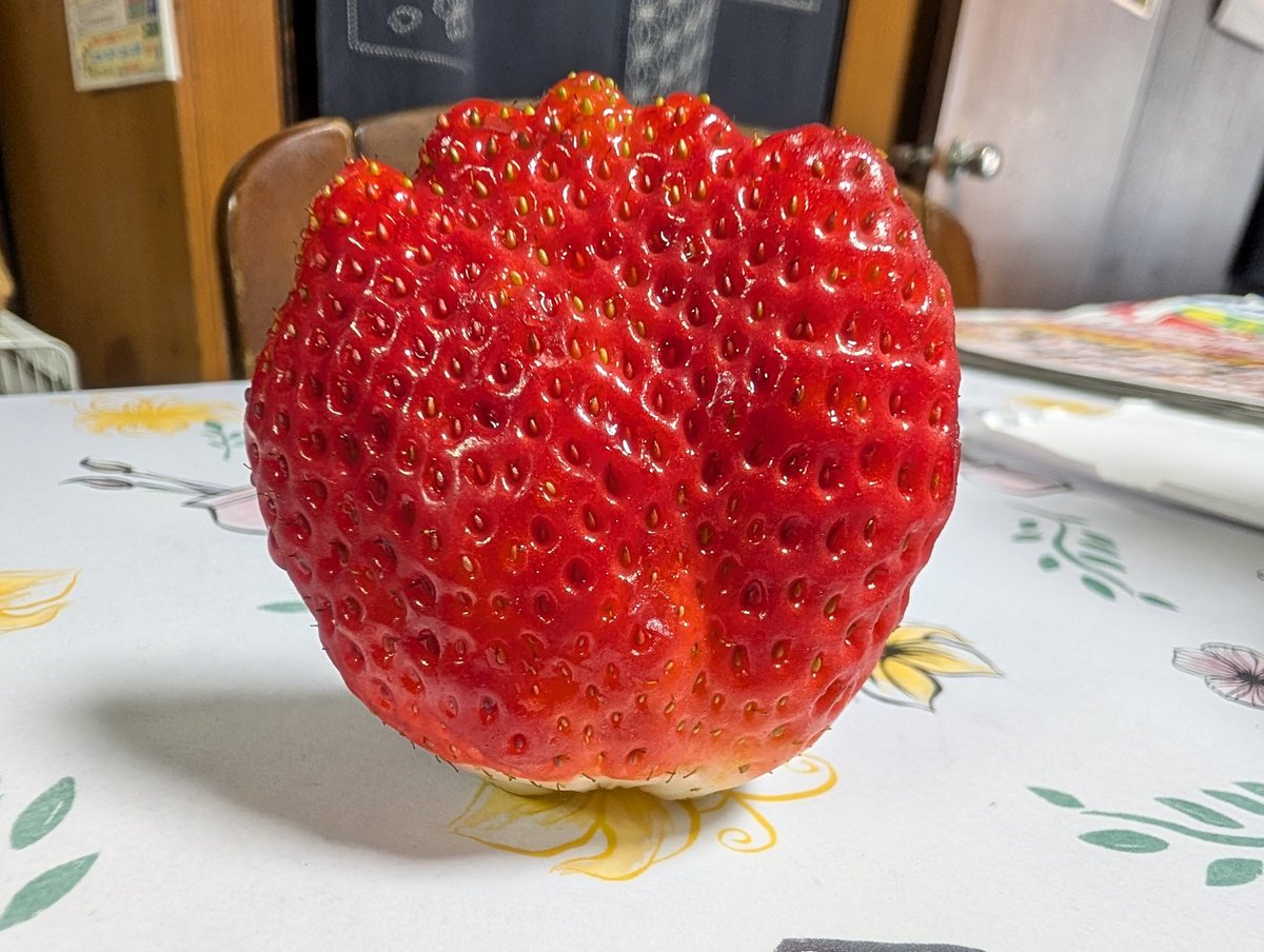 Quarry_Entei's tweet image. いちごというよりもサボテンに近い🤔