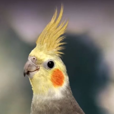 YPZBYDJCMKatyaa's tweet image. hold on