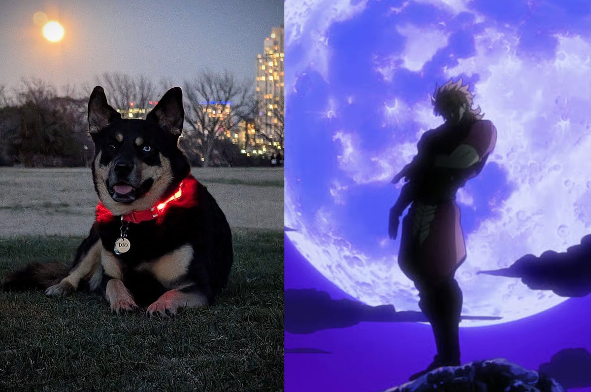 corporate needs you to find the difference between these two pictures