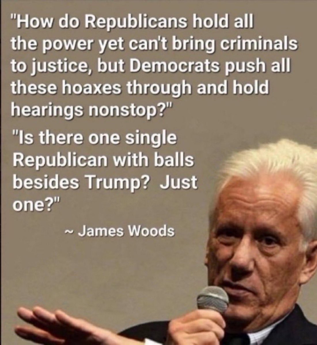 MAGA Voice tweet media