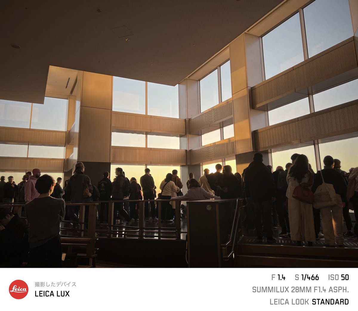 kurara7122's tweet image. LEICA LUX 良い写りするんですよね。

#leicalux #iphone13pro #東京都庁 #展望台  #leica #写真好きな人と繫がりたい