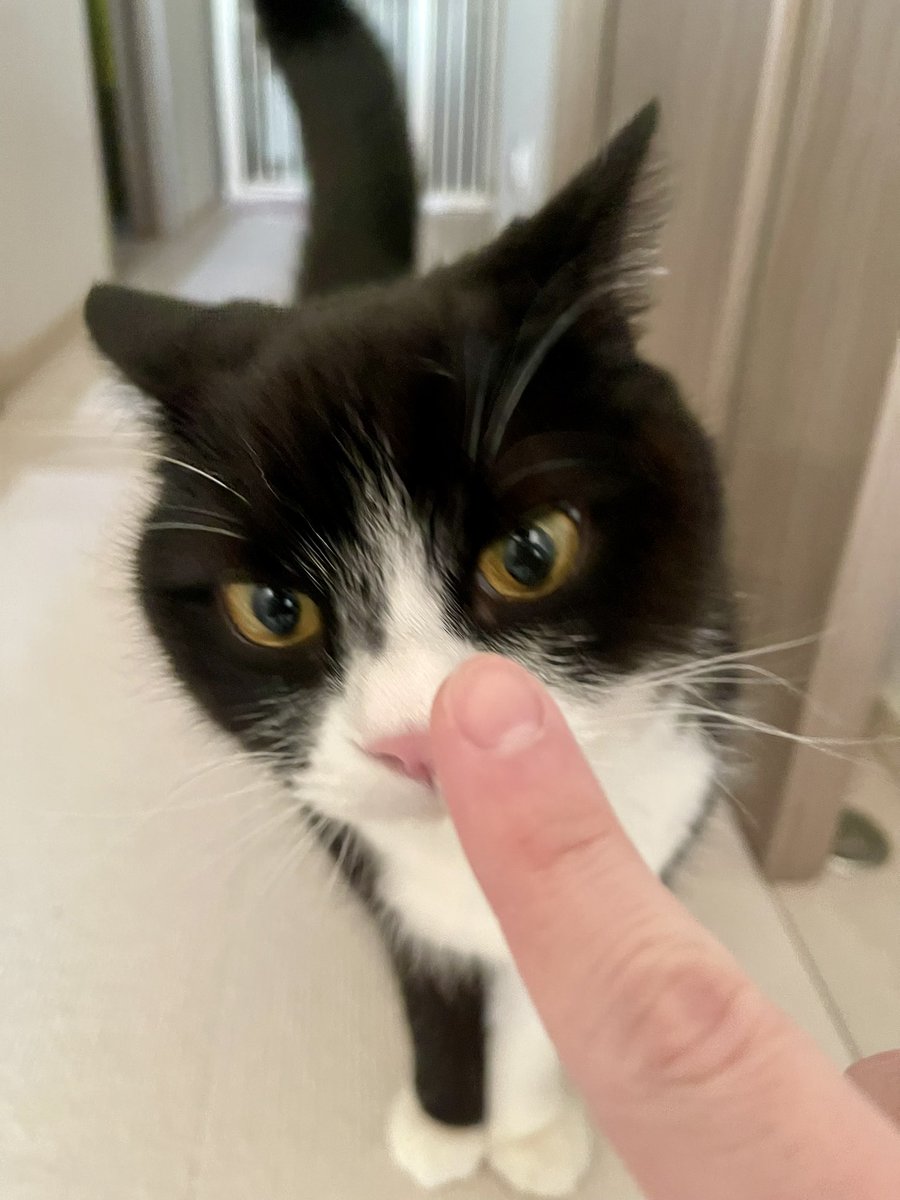 たろう (@taro20216) / Posts / X