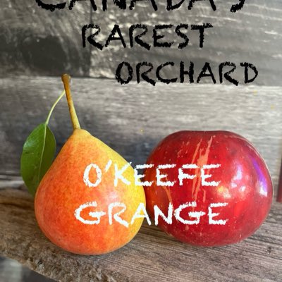 Cider & Fire tweet media