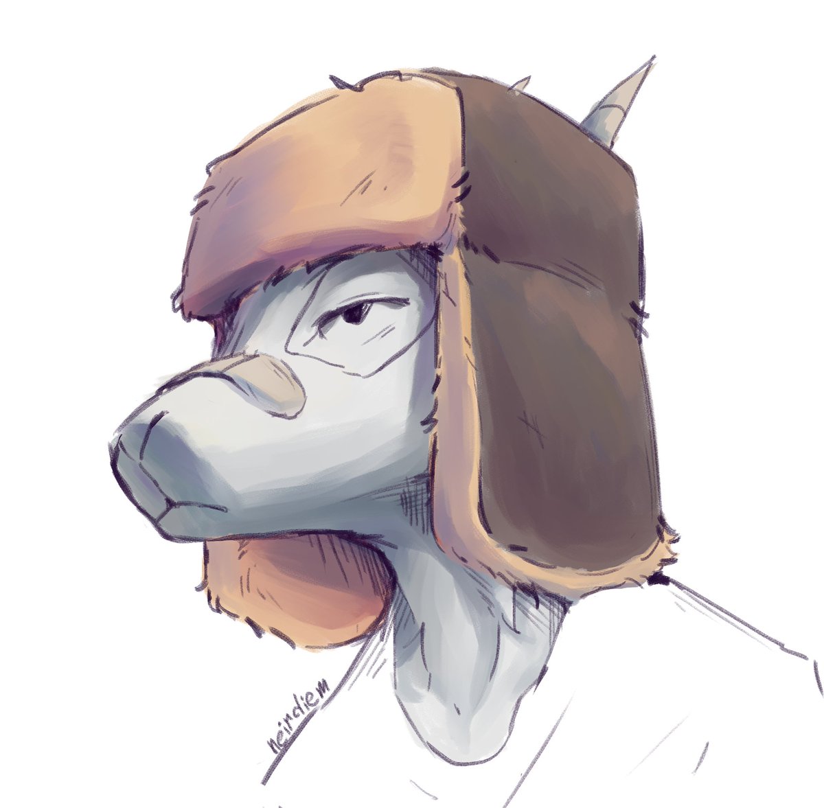 neirdiem's tweet image. shapka