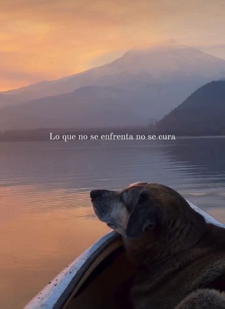 Pensamientos (@frasesimple) on Twitter photo 