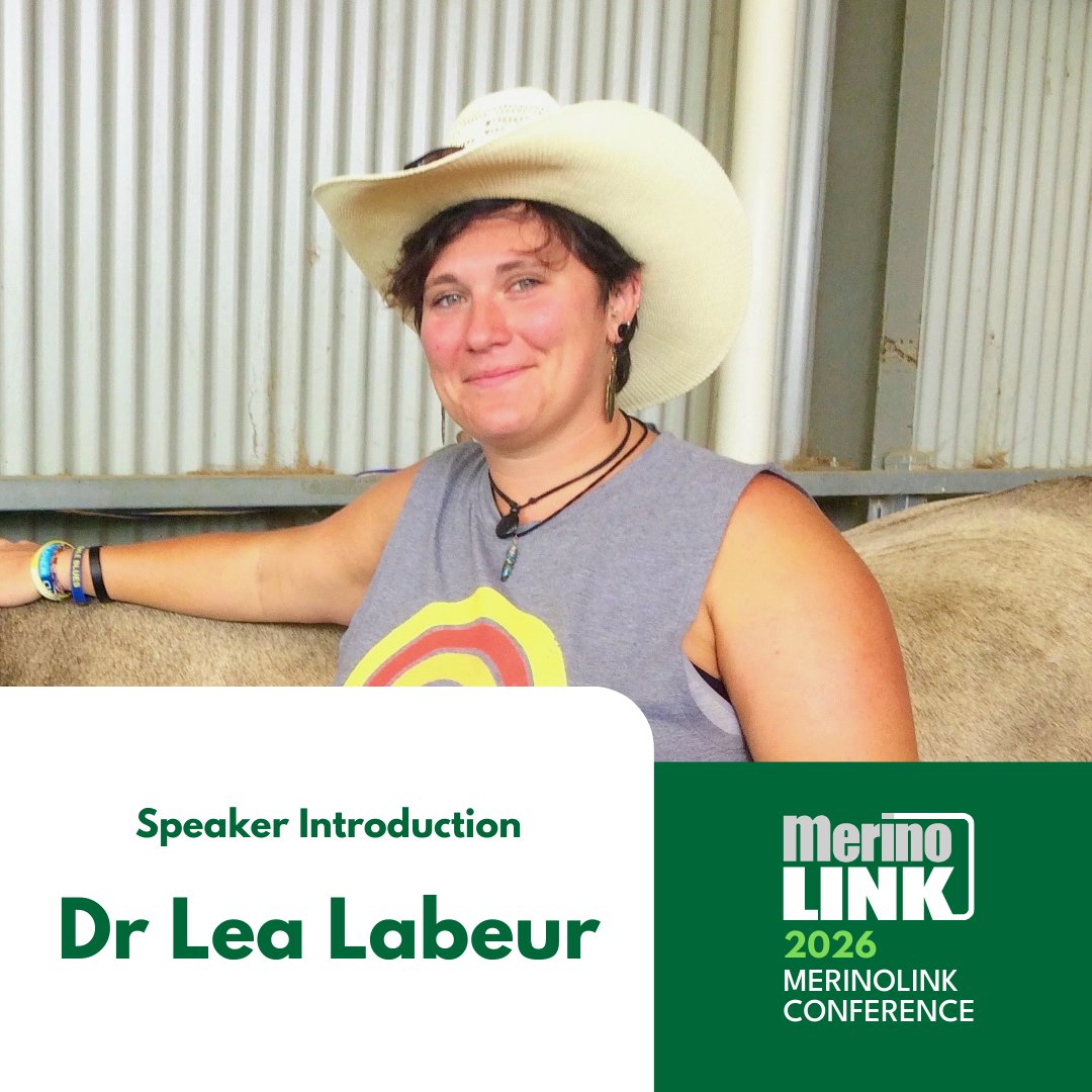 MerinoLink Limited tweet media