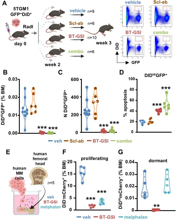 Journal of Experimental & Clinical Cancer Research tweet media