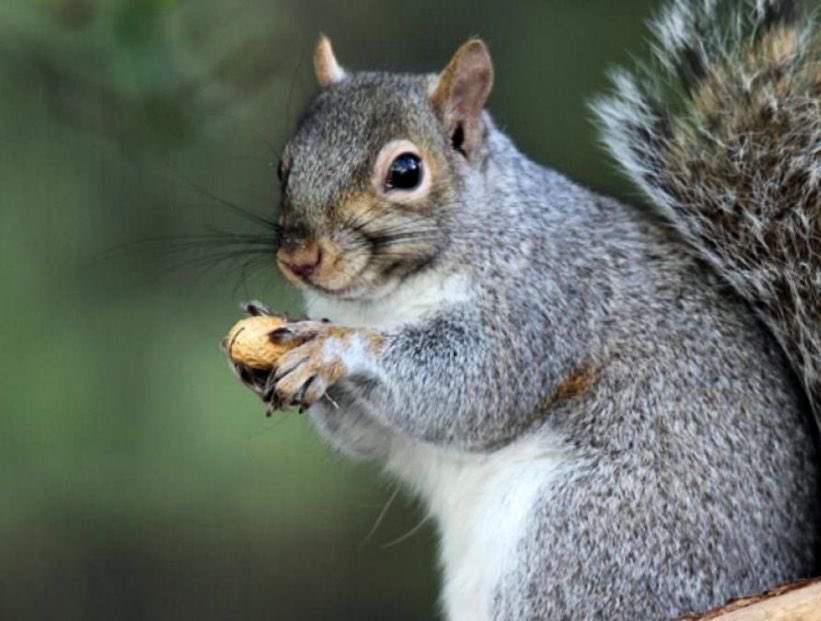 chani 🍭 tweet media