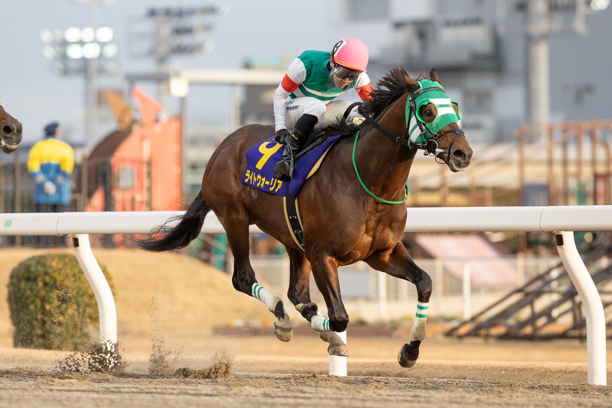 🏇2/4(水)の予定🏇

川崎で大好き長距離重賞・報知オールスターC。

本日は笠松オールケンして川崎・姫路の2会場に絞って勝負していきますね。
爆裂戦・電撃戦は当然全て勝負確定です。

＜勝負確定＞
✅姫路4R 爆裂戦🔥
✅姫路7R 爆裂戦🔥
✅姫路8R 爆裂戦🔥
✅川崎5R 電撃戦⚡
✅川崎8R 電撃戦⚡