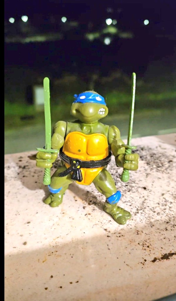 Visual Memory tweet media