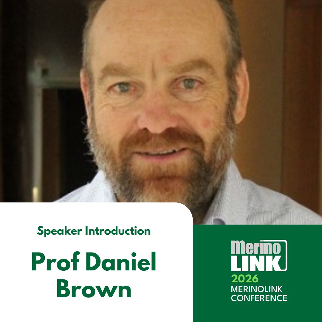 MerinoLink Limited tweet media