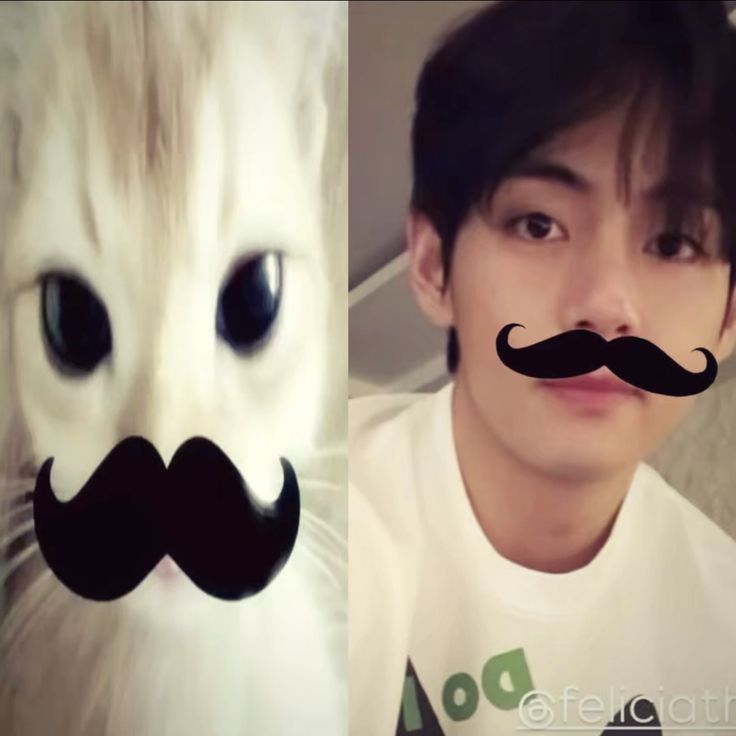 Busco mutis only army. Soy Ann, tengo 17 años y mi bias es taecito, juego Roblox y cualquier otro juego

#armytwt