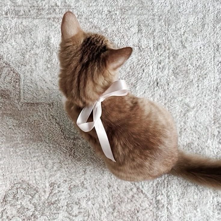 missdelicatie's tweet image. 