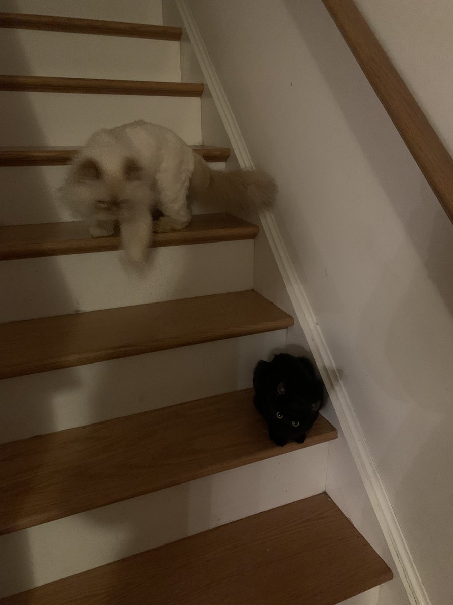 gonzpics's tweet photo. ghosts and shadows in my home…. https://t.co/05fj56CYlP