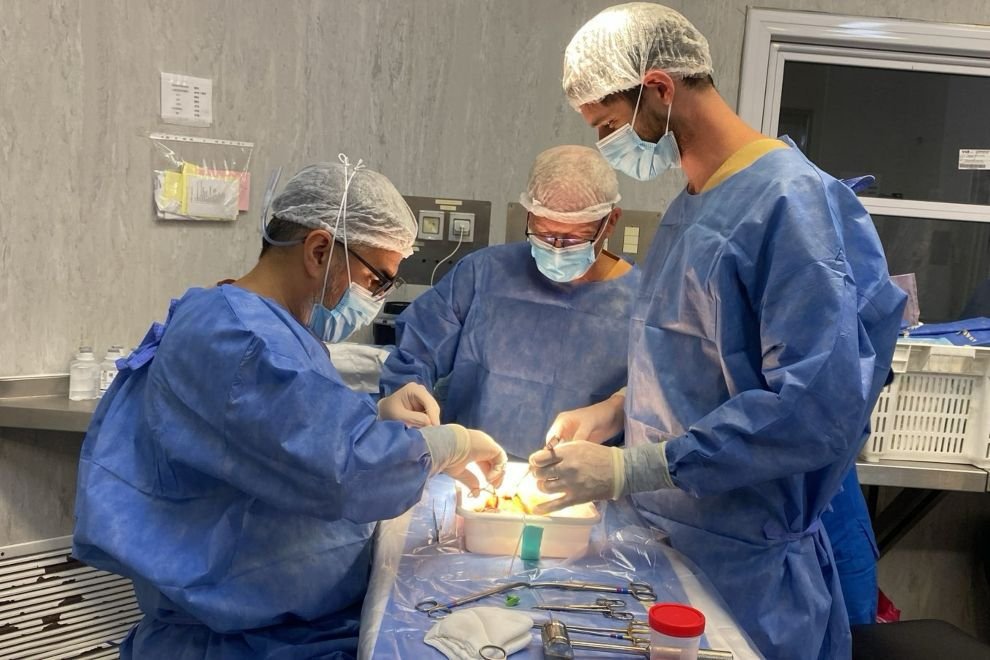 Gobierno de Córdoba tweet media