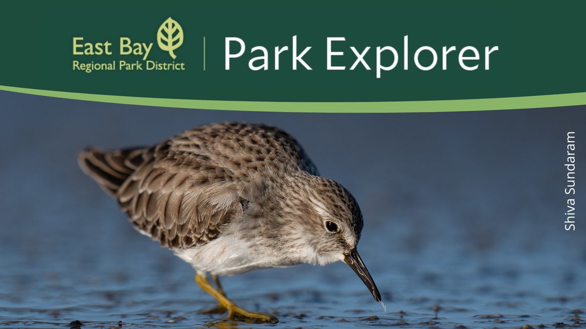 East Bay Regional Park District tweet media