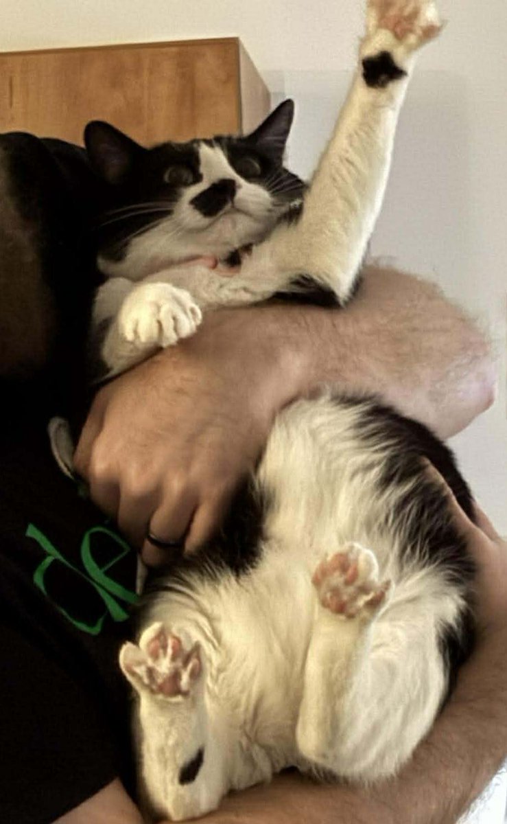 DeviDevyanthy's tweet image. 