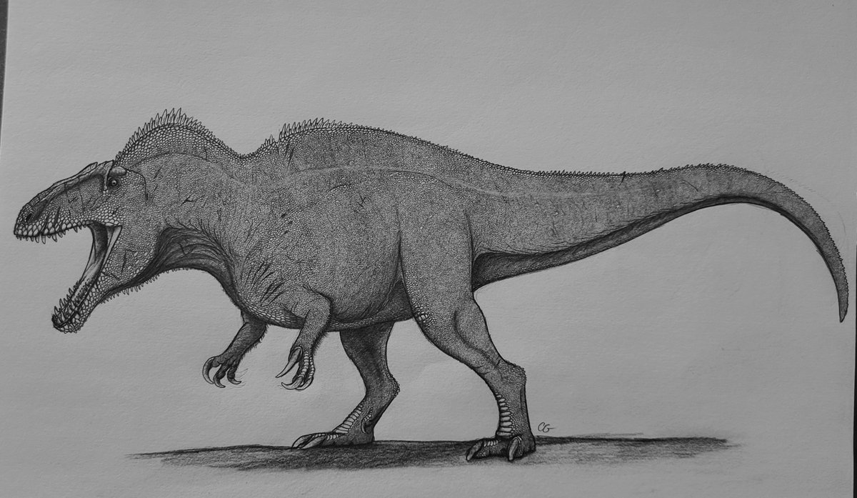 Carter Gatewood tweet media