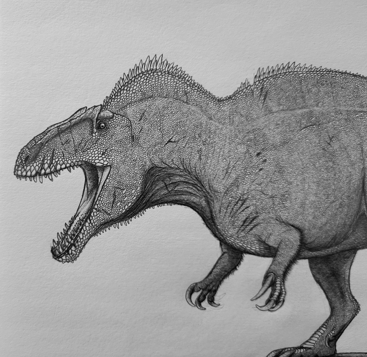 Carter Gatewood tweet media