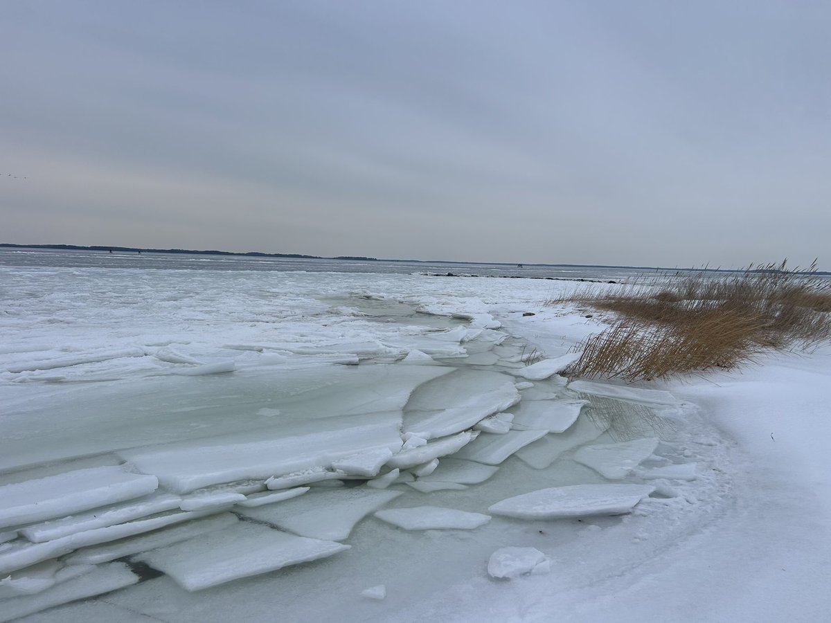 JustinWeather's tweet photo. This is ice in the middle of The Chesapeake Bay
📍 Ferry Point Park
🧭 North side of Kent Island, MD
🐧 Looking North looks like The South Pole
📷 My friend Andrew Piotrowski sent these to me. 
🚴‍♂️ He took us there cycling over the summer, now a snowmobile would work on the Cross Island Trail.