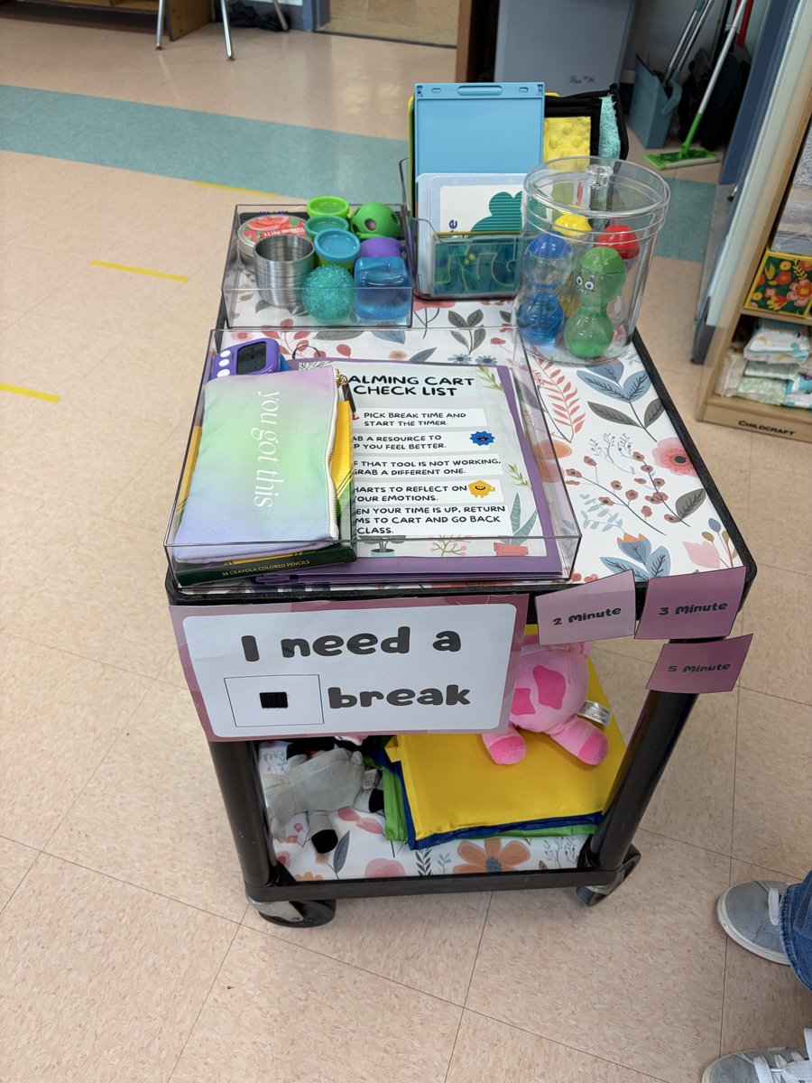 MrHeeter's tweet photo. A quick shoutout to senior student Caitlyn lupia who came in today and presented her calming carts to each grade level. Caitlyn is working on creating a project for her gold award. The gold award is the highest, most prestigious honor in Girl Scouting. @HamptonBaysES #HBStrong https://t.co/CVeEE1e3rX