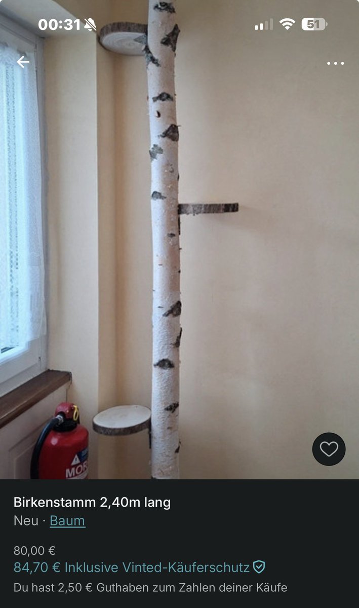Wieso verkauft man über Vinted einen Baum 😭