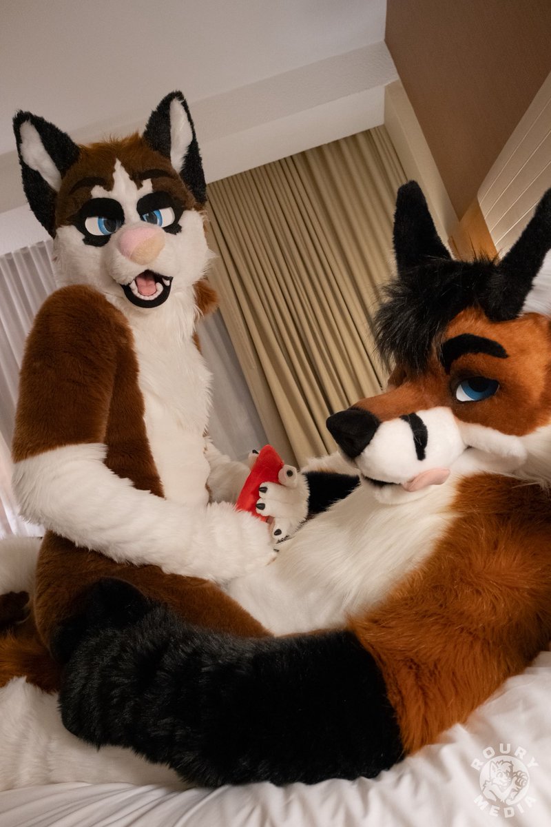 tekfoxafterdark tweet media