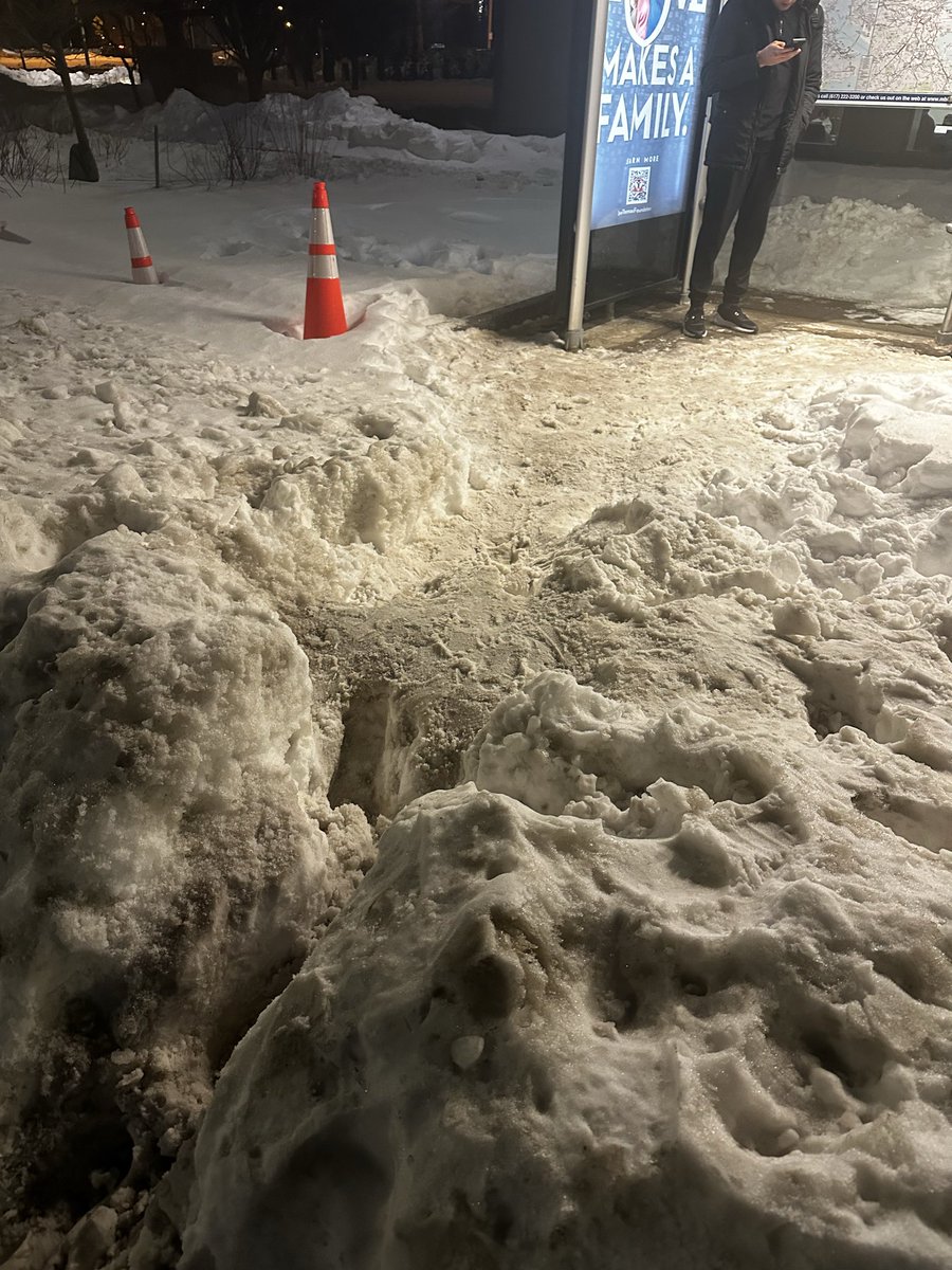 Lauren Pepi tweet media