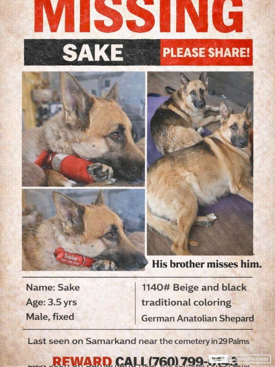 AfterHour Mobile Notary Public Service tweet media