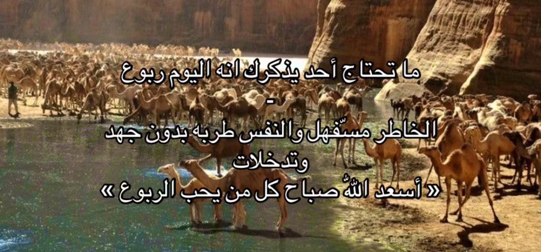 Ghzool0's tweet photo. https://t.co/KbifmTic3E