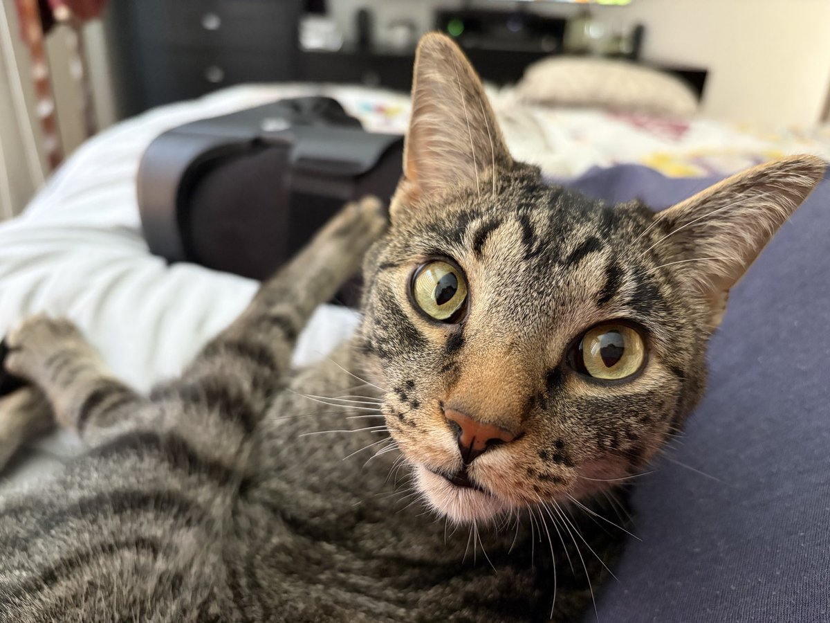 Su cara de ¿qué se te ofrece?