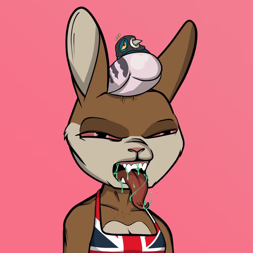 JaamNWO 🐇 tweet media