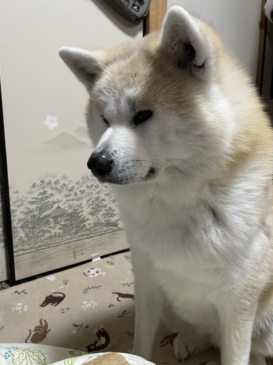 ْ (@65907_30_4) / Posts / X