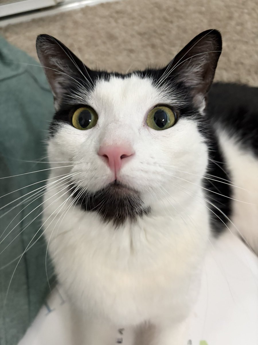 contacting the mothership